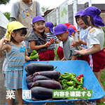 菜園活動